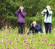 Bird Watchers